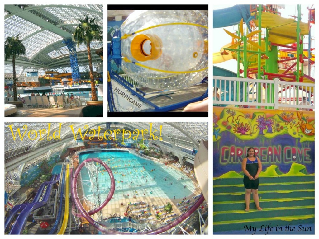 World Waterpark Collage_Fotor