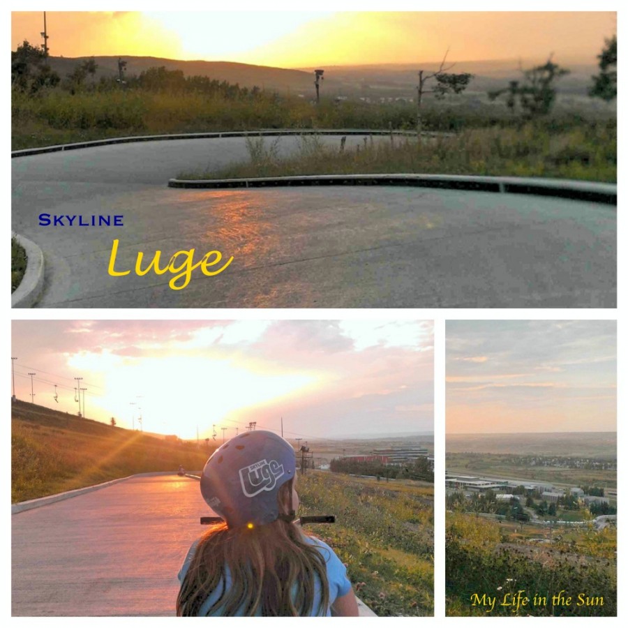 Skyline Luge View Collage_Fotor