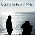 A Visit to the Beach in Winter