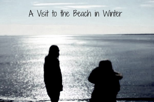 A Visit to the Beach in Winter