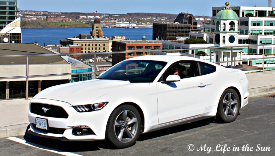 2015 Ford Mustang at Citadel Hill in Halifax
