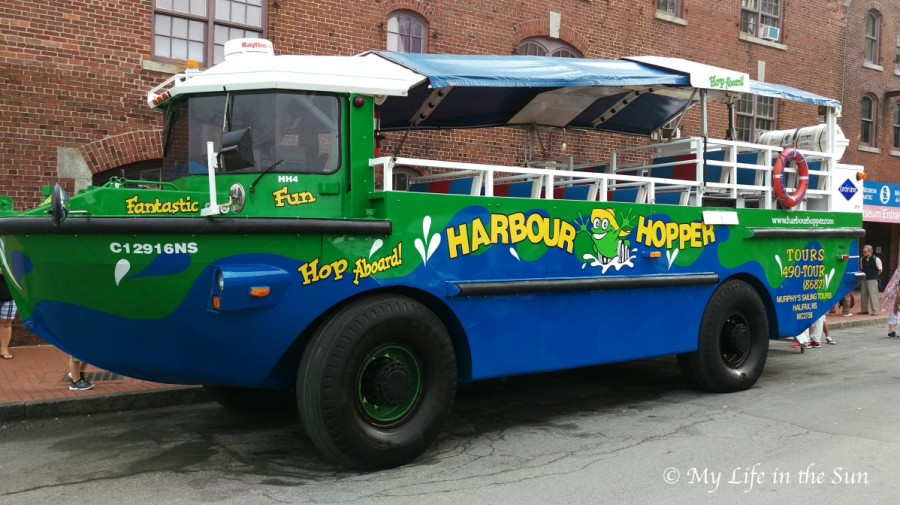 Ford Focus on my City Harbour Hopper