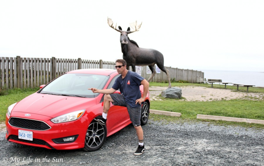 Ford Focus on my City The Moose