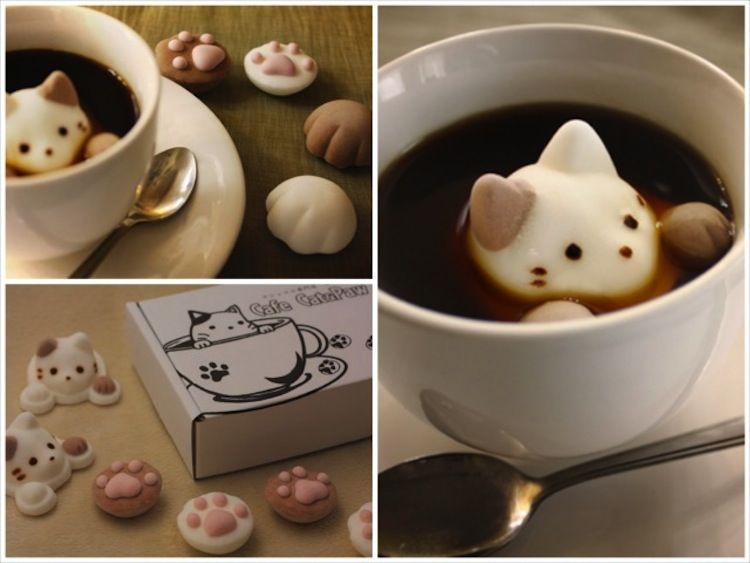 kitten-marshmallows