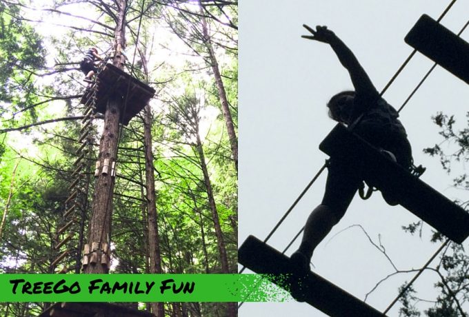 TreeGo Family Fun Aventure