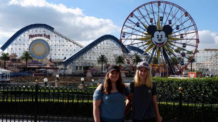 Disneyland in California Ferris Wheel